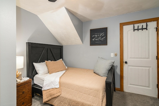 4216 Skyline Rd, Seymour, MO 65746 - bedroom with carpet flooring