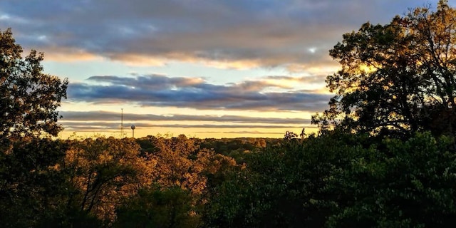 311 College St, Crane, MO 65633 - view of nature at dusk
