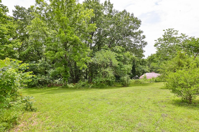 311 College St, Crane, MO 65633 - view of grassy yard