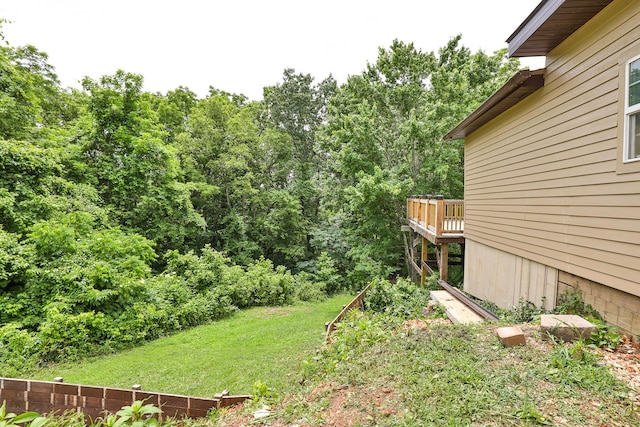 311 College St, Crane, MO 65633 - view of green lawn featuring a deck
