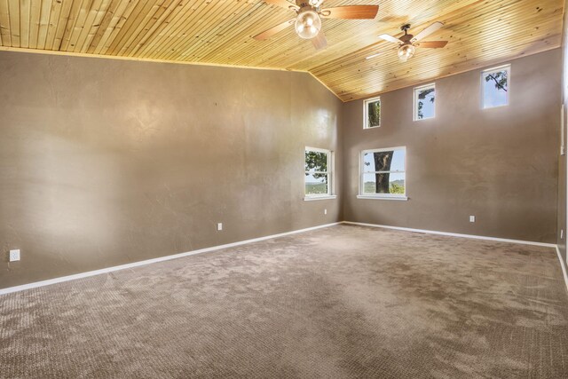 90 Little Fox Ln, Lampe, MO 65681 - photo 14