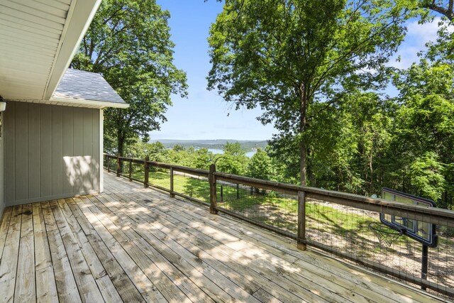 90 Little Fox Ln, Lampe, MO 65681 - photo 20
