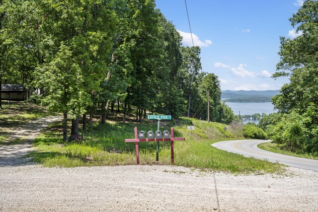 90 Little Fox Ln, Lampe, MO 65681 - photo 57