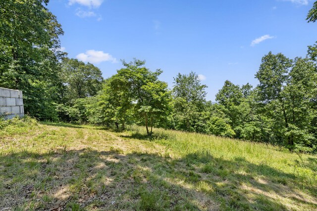90 Little Fox Ln, Lampe, MO 65681 - photo 59