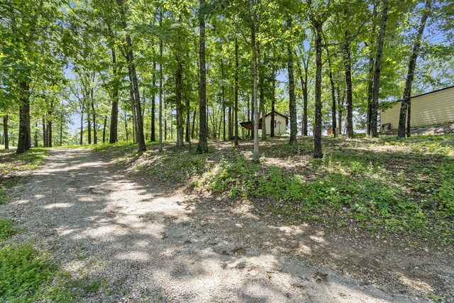 90 Little Fox Ln, Lampe, MO 65681 - photo 58