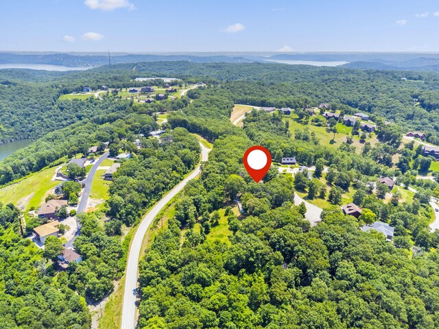 90 Little Fox Ln, Lampe, MO 65681 - photo 67