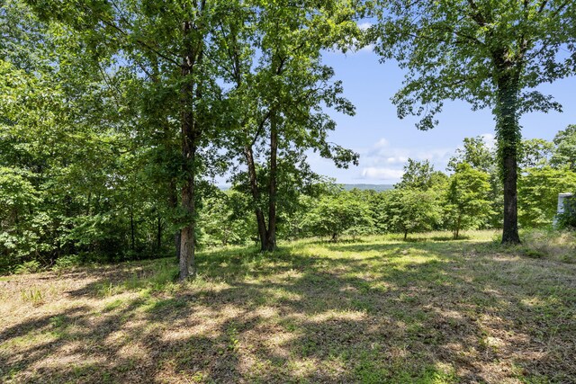 90 Little Fox Ln, Lampe, MO 65681 - photo 60