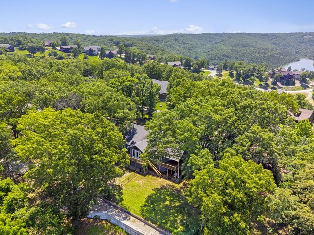 90 Little Fox Ln, Lampe, MO 65681 - photo 62