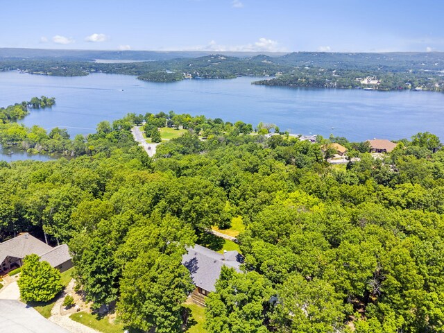 90 Little Fox Ln, Lampe, MO 65681 - photo 63