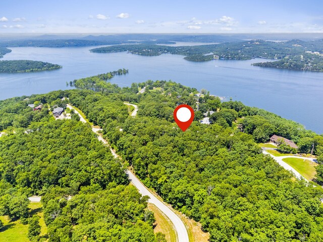 90 Little Fox Ln, Lampe, MO 65681 - photo 66