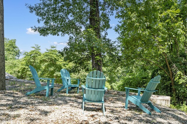 90 Little Fox Ln, Lampe, MO 65681 - photo 49