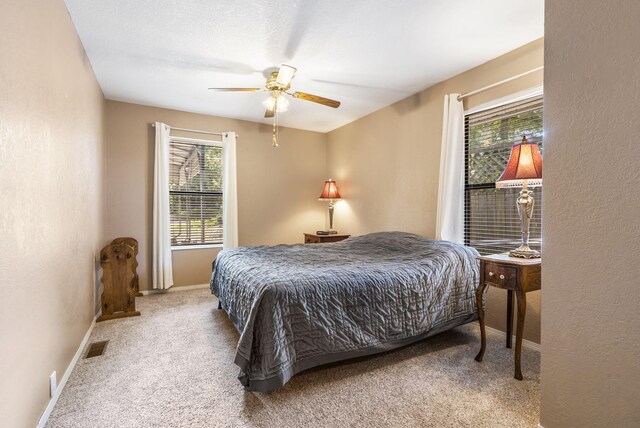 90 Little Fox Ln, Lampe, MO 65681 - photo 25