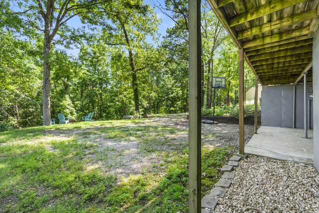 90 Little Fox Ln, Lampe, MO 65681 - photo 43