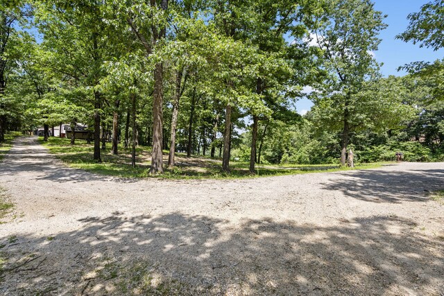 90 Little Fox Ln, Lampe, MO 65681 - photo 56