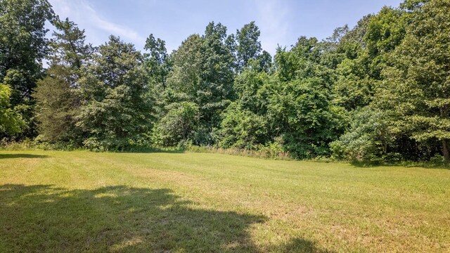 167 Timber Valley Rd, Mammoth Spring, AR 72554 - photo 32