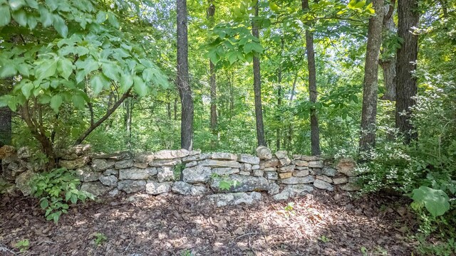 167 Timber Valley Rd, Mammoth Spring, AR 72554 - photo 35