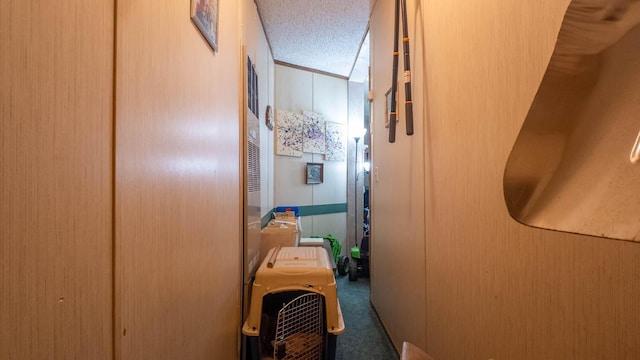 167 Timber Valley Rd, Mammoth Spring, AR 72554 - hall with a textured ceiling, carpet flooring, and washer / clothes dryer