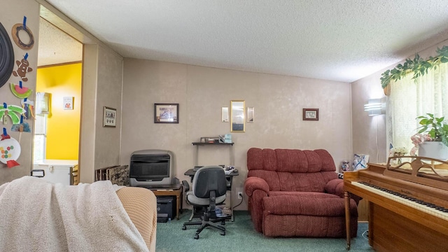 167 Timber Valley Rd, Mammoth Spring, AR 72554 - carpeted office space with heating unit, healthy amount of natural light, and a textured ceiling