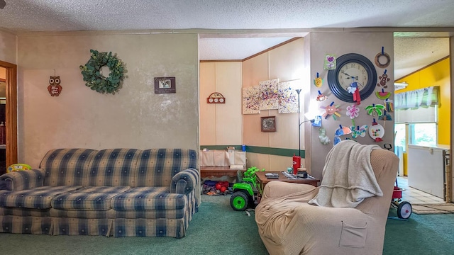 167 Timber Valley Rd, Mammoth Spring, AR 72554 - living area featuring carpet and a textured ceiling