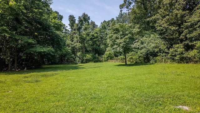 167 Timber Valley Rd, Mammoth Spring, AR 72554 - view of green lawn featuring a forest view