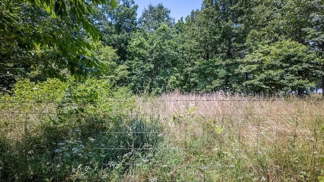 167 Timber Valley Rd, Mammoth Spring, AR 72554 - view of wooded area