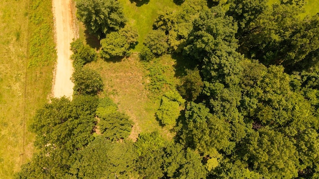 167 Timber Valley Rd, Mammoth Spring, AR 72554 - drone / aerial view
