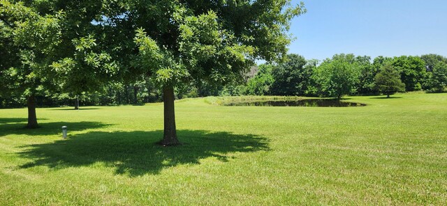 14795 S 1825th Rd, Stockton, MO 65785 - photo 5