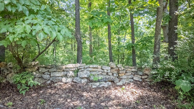 185 Timber Valley Rd, Mammoth Spring, AR 72554 - view of wooded area