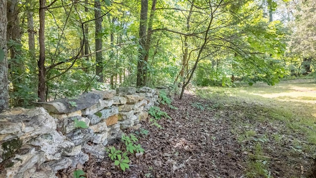185 Timber Valley Rd, Mammoth Spring, AR 72554 - view of wooded area