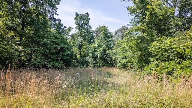 185 Timber Valley Rd, Mammoth Spring, AR 72554 - view of tree filled area