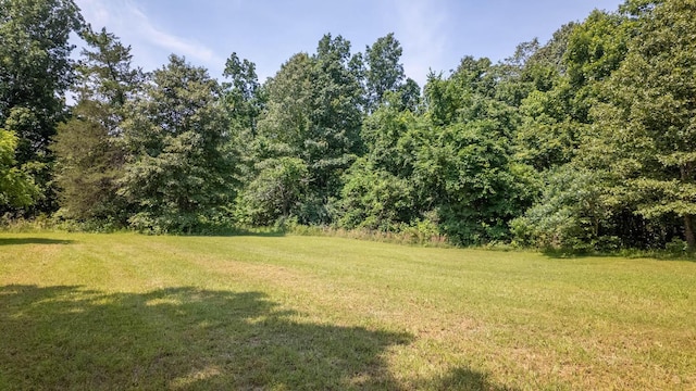 185 Timber Valley Rd, Mammoth Spring, AR 72554 - view of green lawn featuring a wooded view