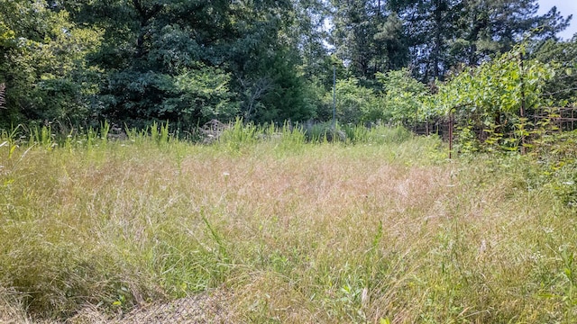 185 Timber Valley Rd, Mammoth Spring, AR 72554 - view of woods
