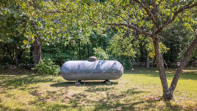 185 Timber Valley Rd, Mammoth Spring, AR 72554 - exterior view of gas tank and a forest