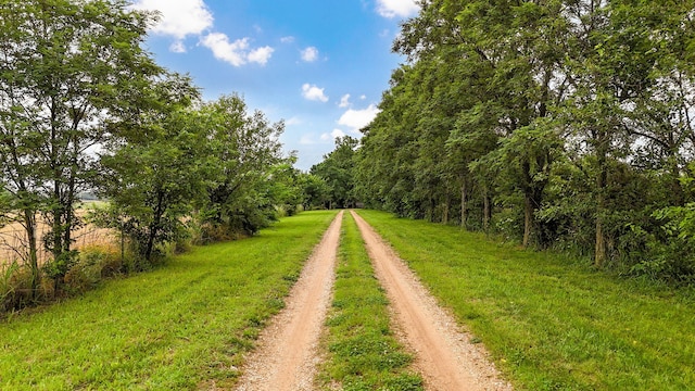 1219 E Dade 72, Walnut Grove, MO 65770 - photo 4