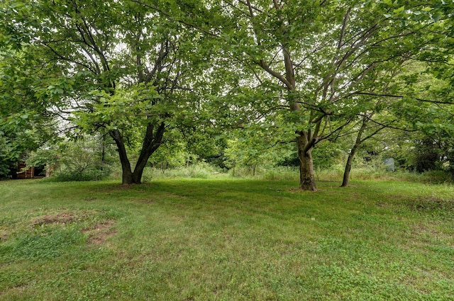 1219 E Dade 72, Walnut Grove, MO 65770 - photo 34