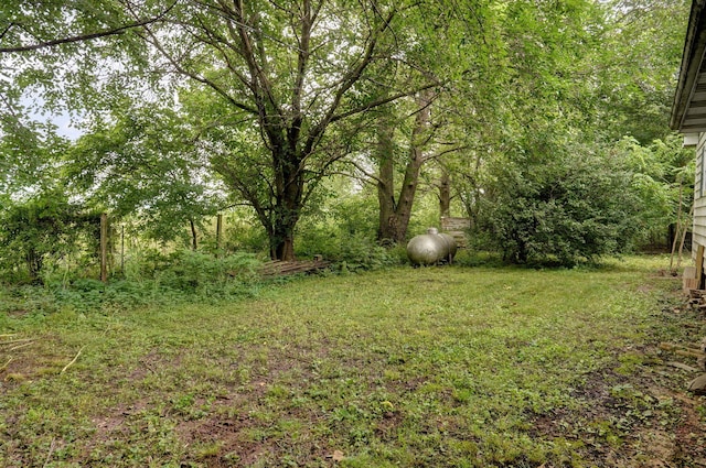 1219 E Dade 72, Walnut Grove, MO 65770 - photo 38