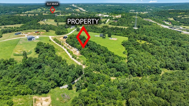 1368 Mountain Ridge Rd, Noel, MO 64854