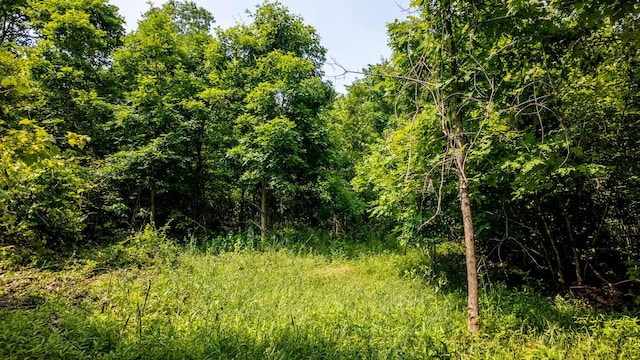 10254 Stella Way, Birch Tree, MO 65438 - photo 14