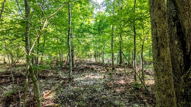 10254 Stella Way, Birch Tree, MO 65438 - photo 18