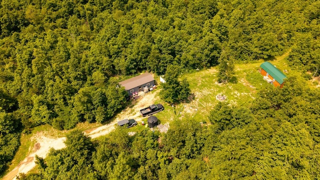 10254 Stella Way, Birch Tree, MO 65438 - photo 34