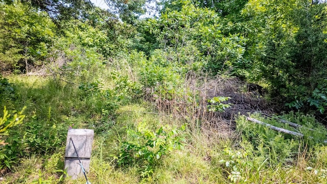 10254 Stella Way, Birch Tree, MO 65438 - photo 19