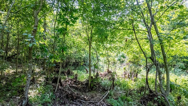 10254 Stella Way, Birch Tree, MO 65438 - photo 15