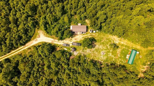 10254 Stella Way, Birch Tree, MO 65438 - photo 27