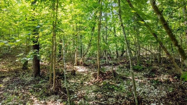 10254 Stella Way, Birch Tree, MO 65438 - photo 16