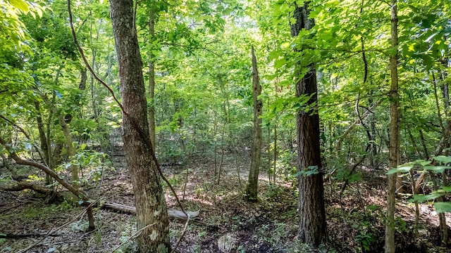10254 Stella Way, Birch Tree, MO 65438 - photo 17