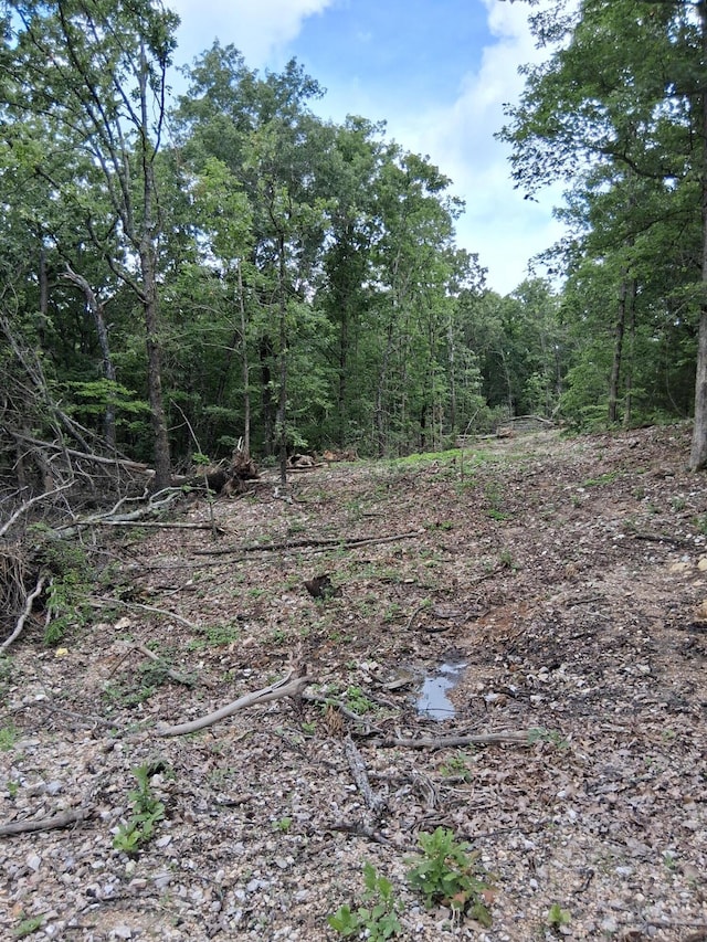 Tbd County Road 350, Dora, MO 65637 - photo 7