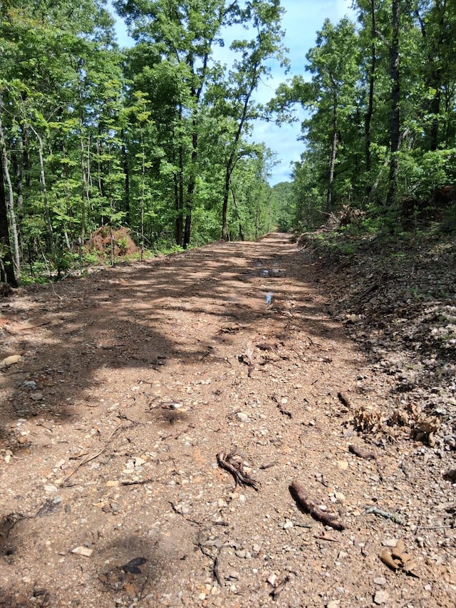 Tbd County Road 350, Dora, MO 65637 - photo 3