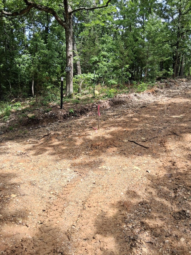 Tbd County Road 350, Dora, MO 65637 - photo 5