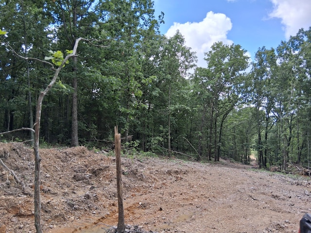 Tbd County Road 350, Dora, MO 65637 - photo 4