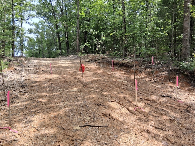 Tbd County Road 350, Dora, MO 65637 - photo 2
